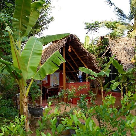 Homestay Camping Anurâdhapura Extérieur photo