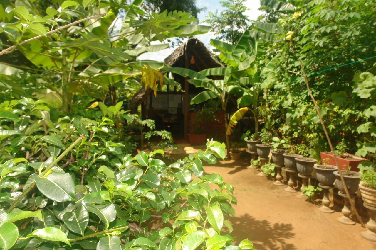 Homestay Camping Anurâdhapura Extérieur photo